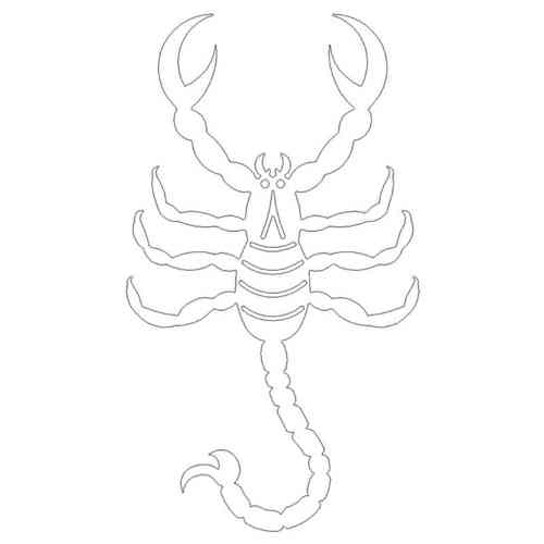 Sternzeichen Motiv Skorpion
